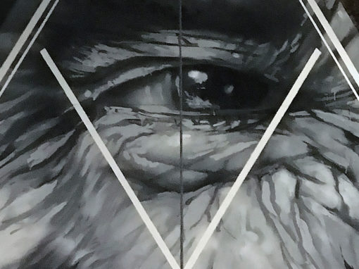 L’âme des montagnes